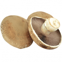  Champignon portobello