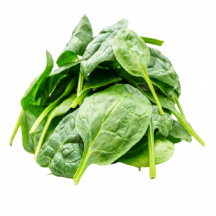  Leaf spinach [cello]10oz