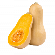  butternut squash