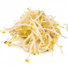  Fève germée [chop suey]