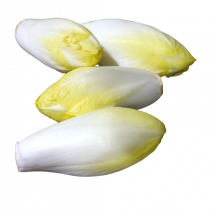  Chicory