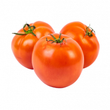  Greenhouse tomato