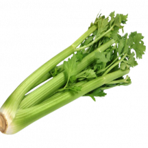  Celery gr24-30