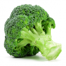  Broccoli gr14-18