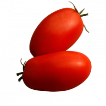  Italian tomato roma