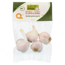  Quebec garlic