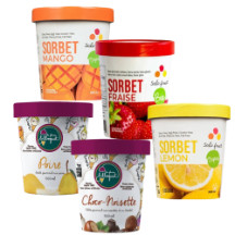 Sorbet biologique ou gelato