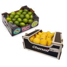 Limettes & citrons à la caisse