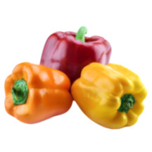 3 color pepper